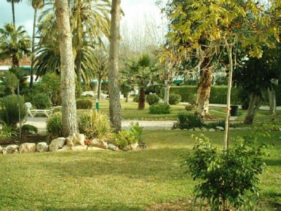 CAMPO (8)  LABRANZA